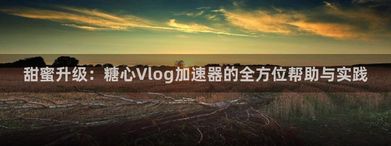 糖心vlog演员小猫:甜蜜升级:糖心Vlog加速器的全方位帮助与实践