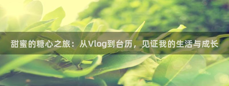 糖心vlog账号被禁用:甜蜜的糖心之旅:从Vlog到台历,见证我的生活与成长