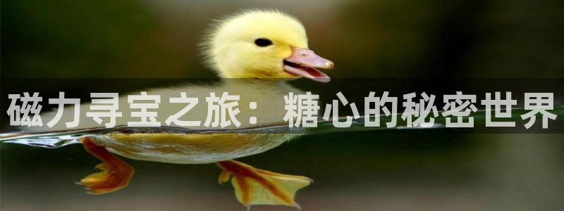 糖心vlog老司机：磁力寻宝之旅：糖心的秘密世界