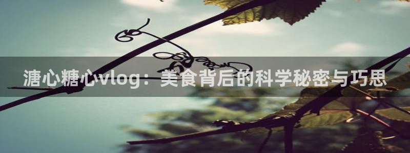 国产AV 糖心Vlog：溏心糖心vlog