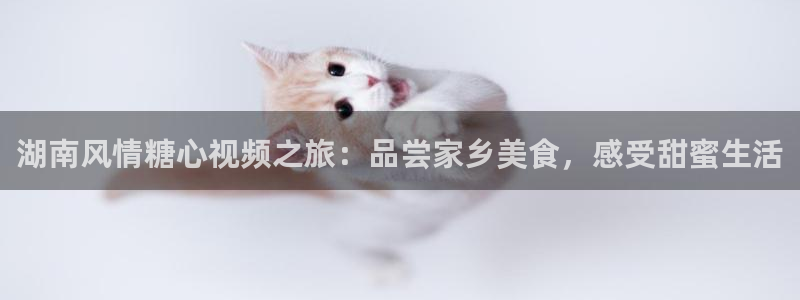 深夜放毒糖心vlog