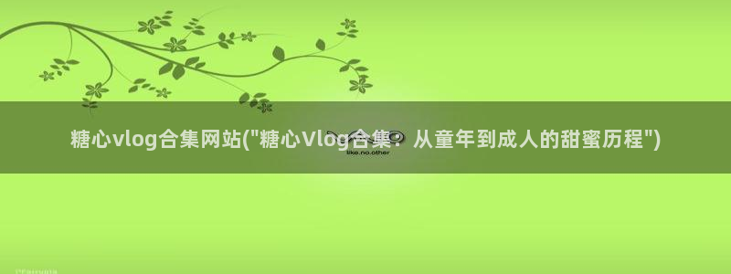 糖心vlog怎么安装