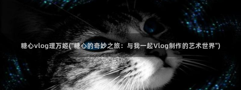 糖心vlog 金善雅