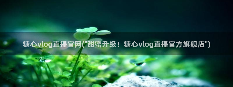 糖心vlog轻量版下载