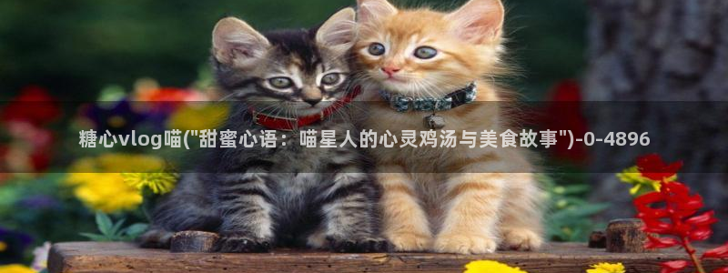 糖心vlog最美