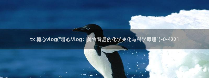 糖心vlog免费观影