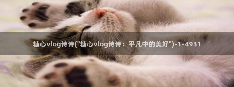 糖心vlog小橘在线