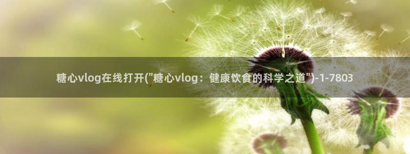 糖心vlog搬运