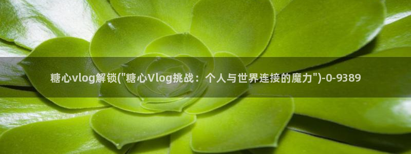 苦糖心vlog