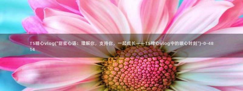 TX糖心vlog下载：TS糖心vlog(