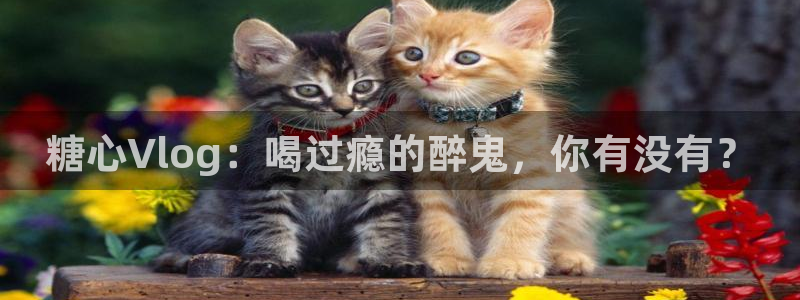 糖心必出精品：糖心Vlog：喝过瘾的醉鬼，你有没有？