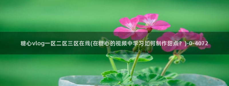 糖心 vlog.com