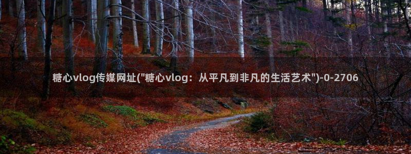 糖心vlog17c