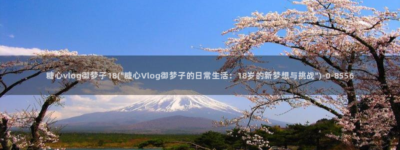 国产糖心vlog在线观看