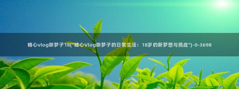 app糖心vlog