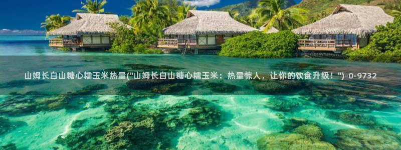 糖心vlog的