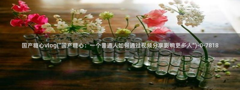 糖心vlog在线观看
