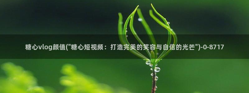 糖心vlog进入
