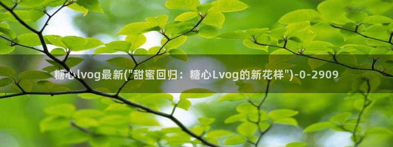 糖心vlog高清无码